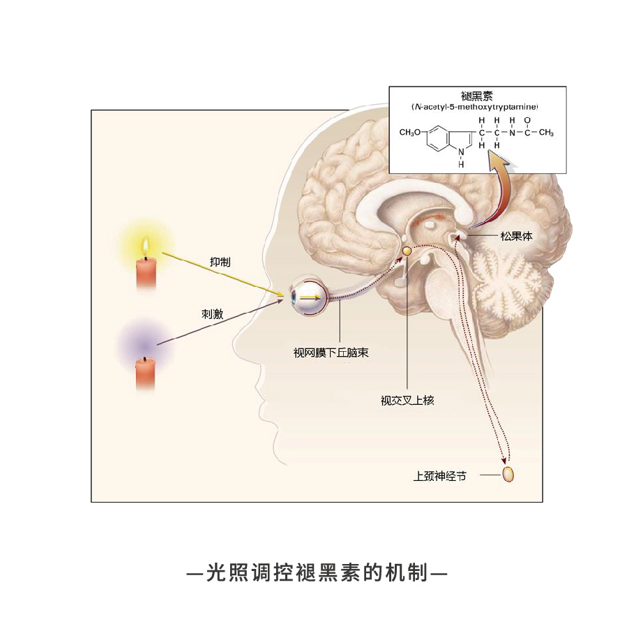 配图1.jpg